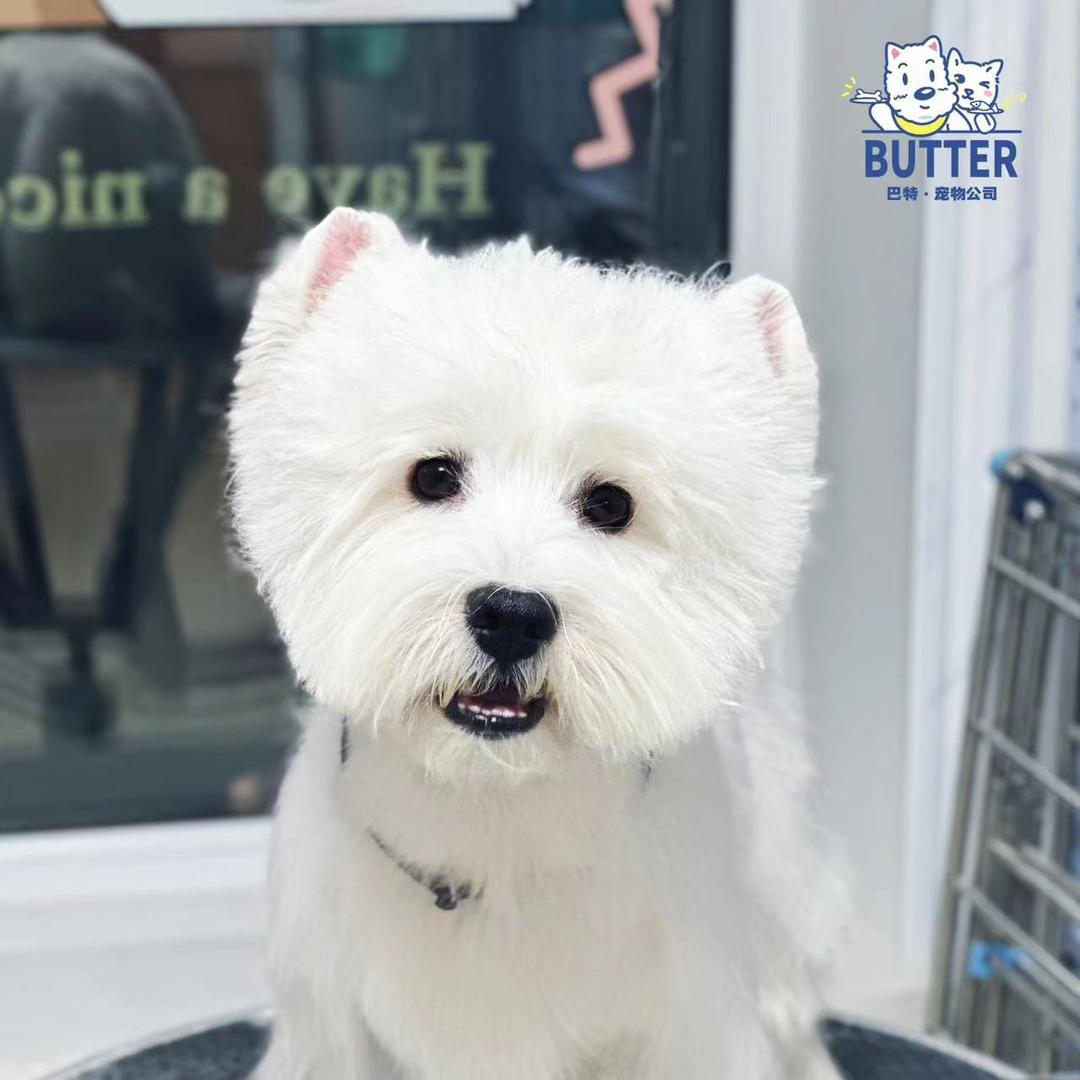 我叫鹿丸（互关）