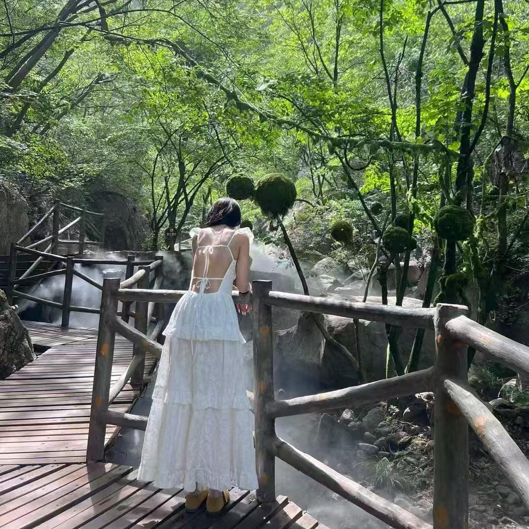 兮兮（新人版）