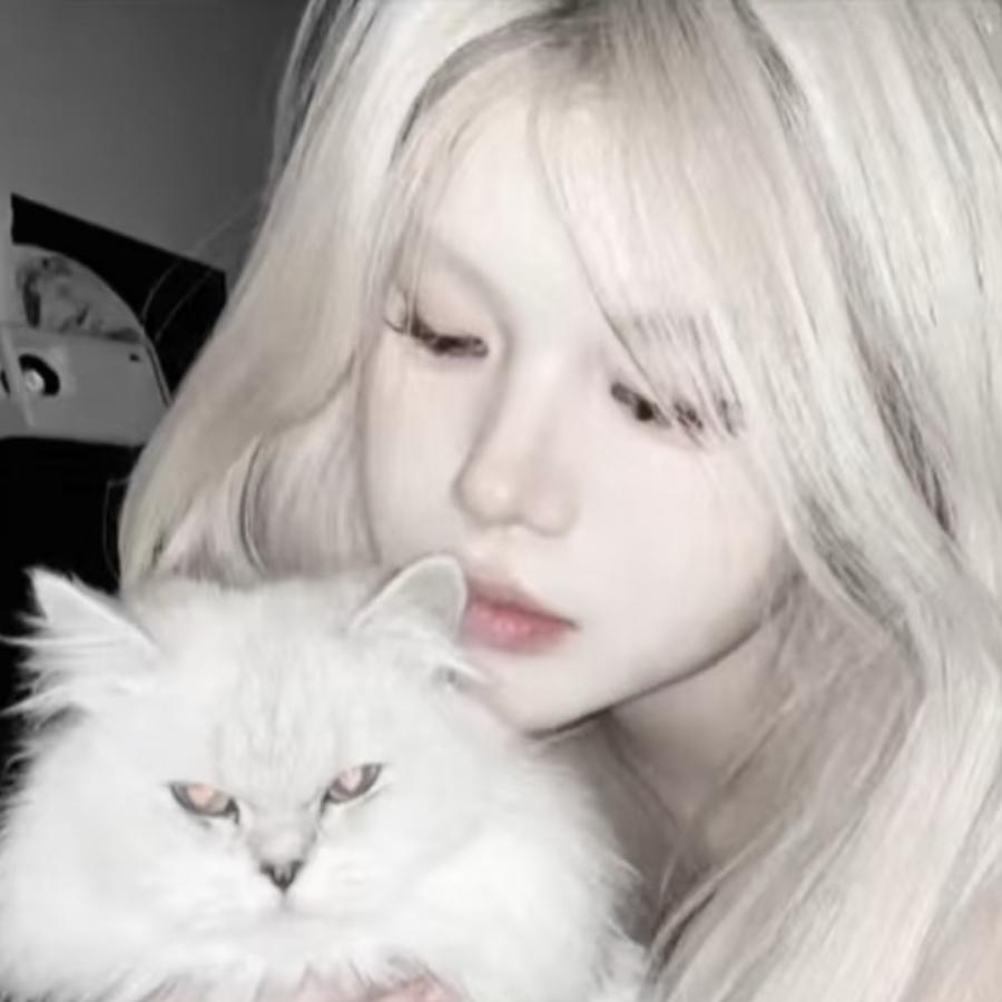 冰