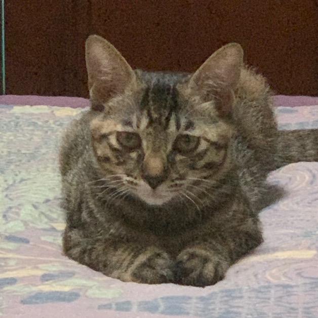 便宜