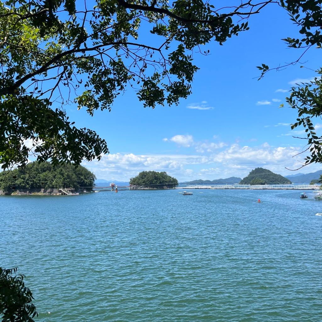 石榴