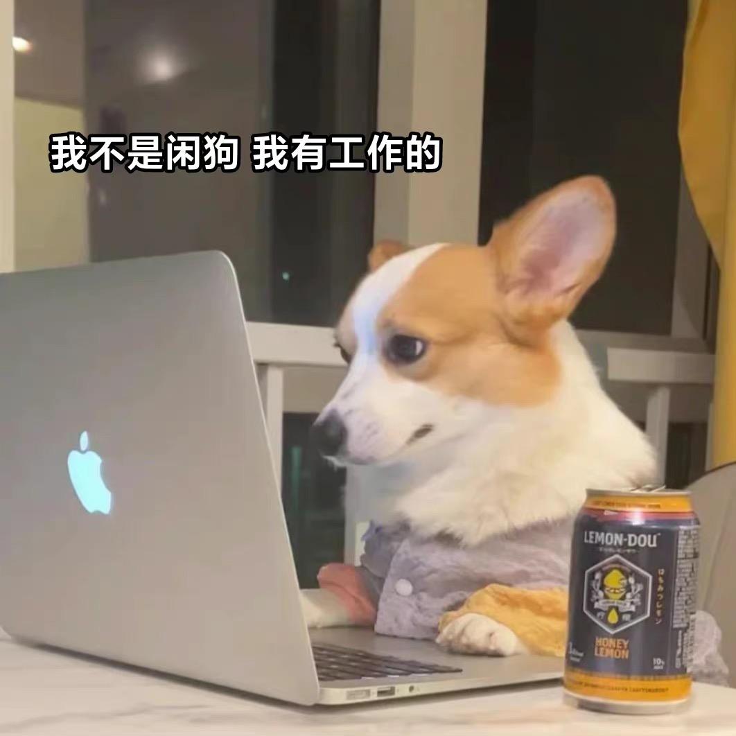 啵啵鸭