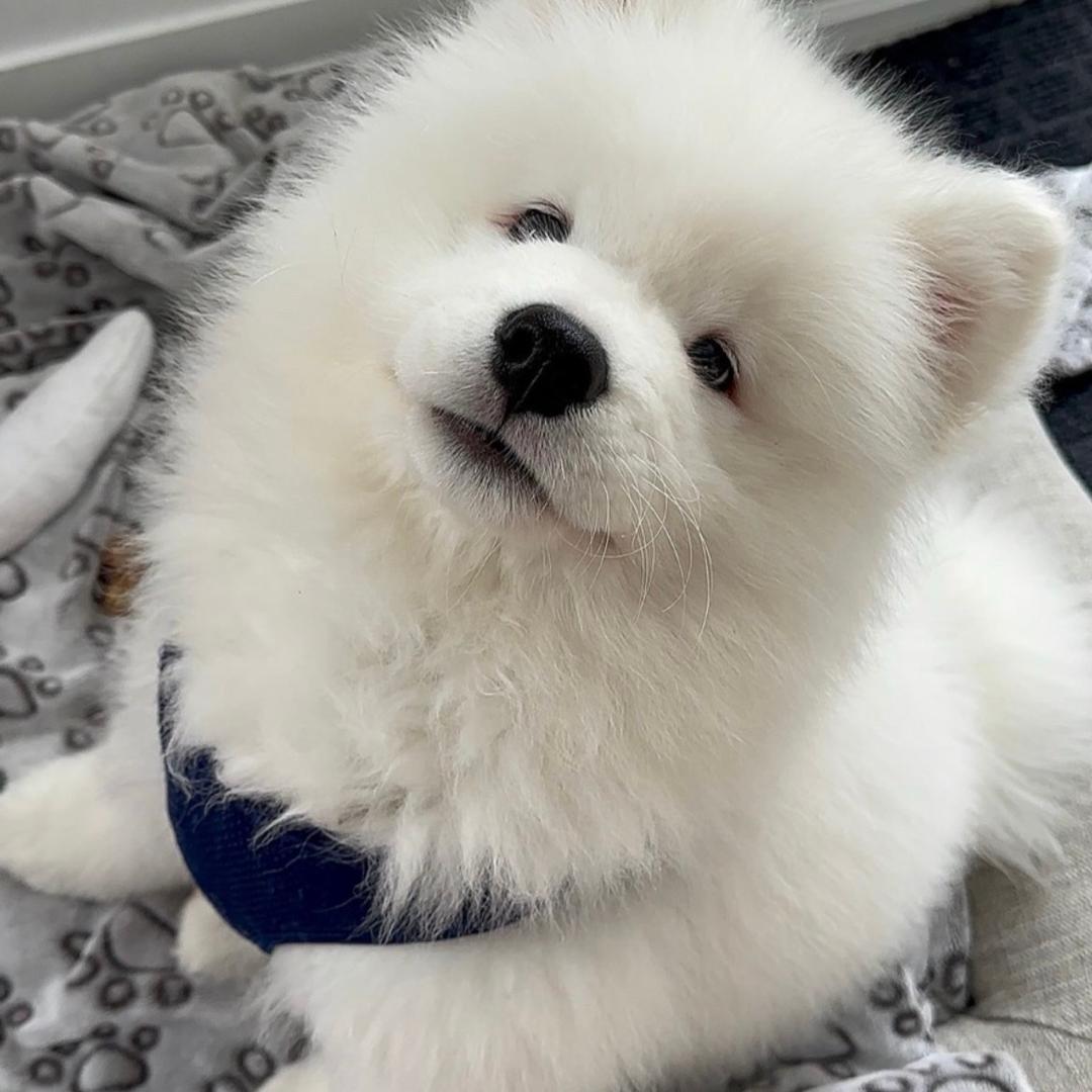 李工