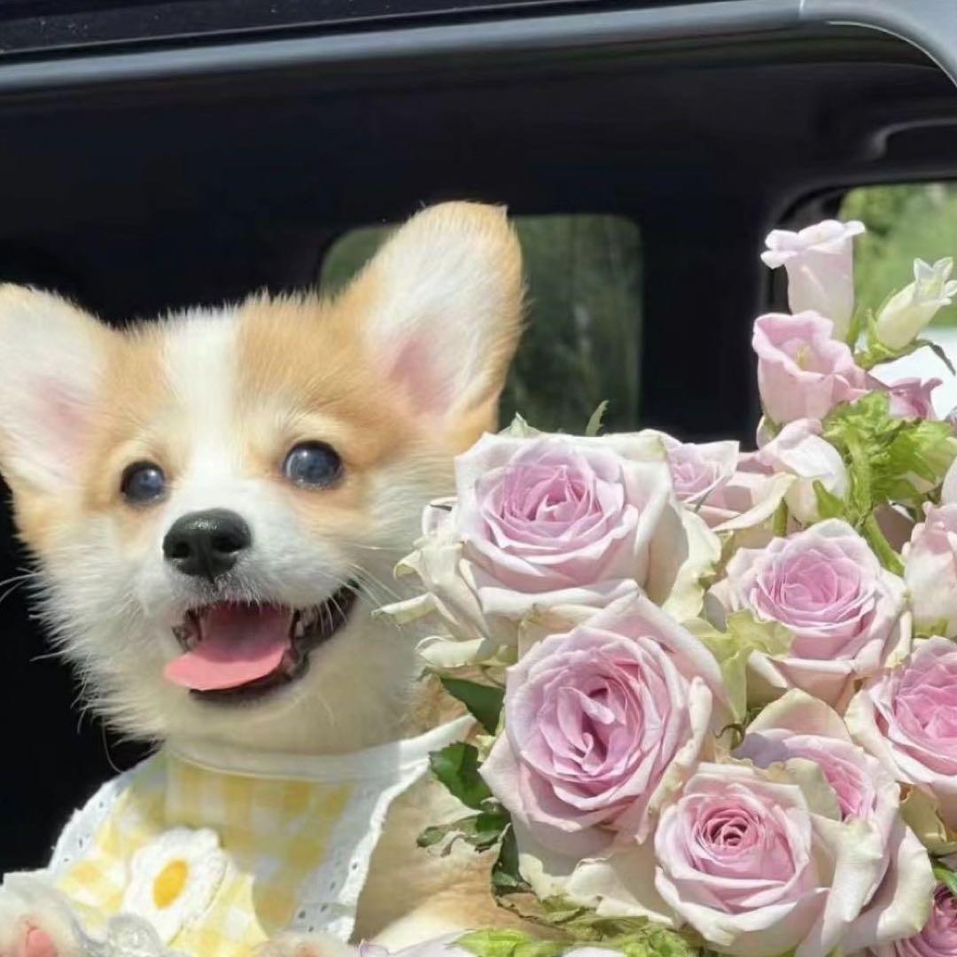 我俩今天吃什么拉