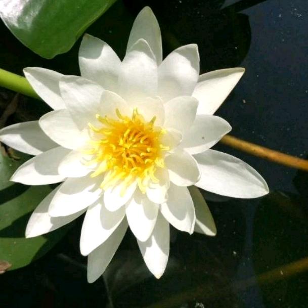梓茗装饰