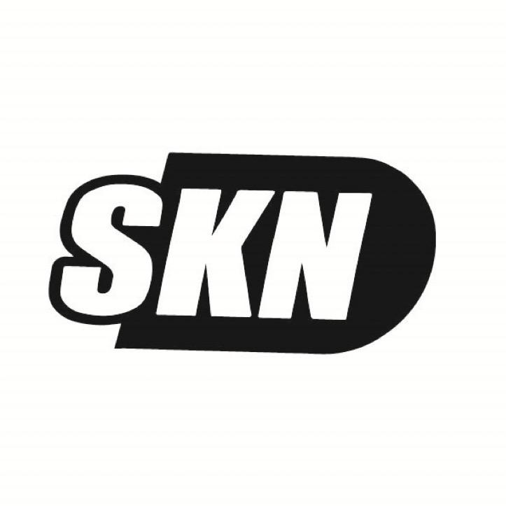 SKN电脑外设旗舰店