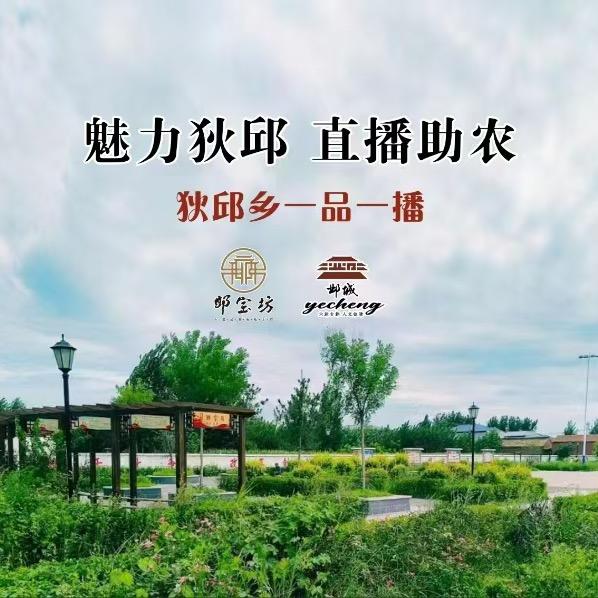 临漳县狄邱乡“一品一播”