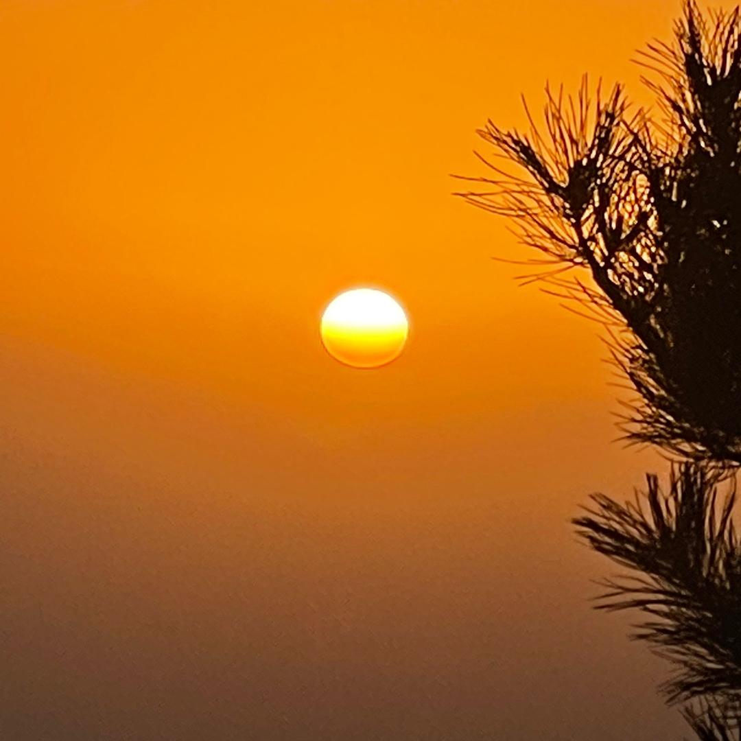 不瘦75斤不改网名