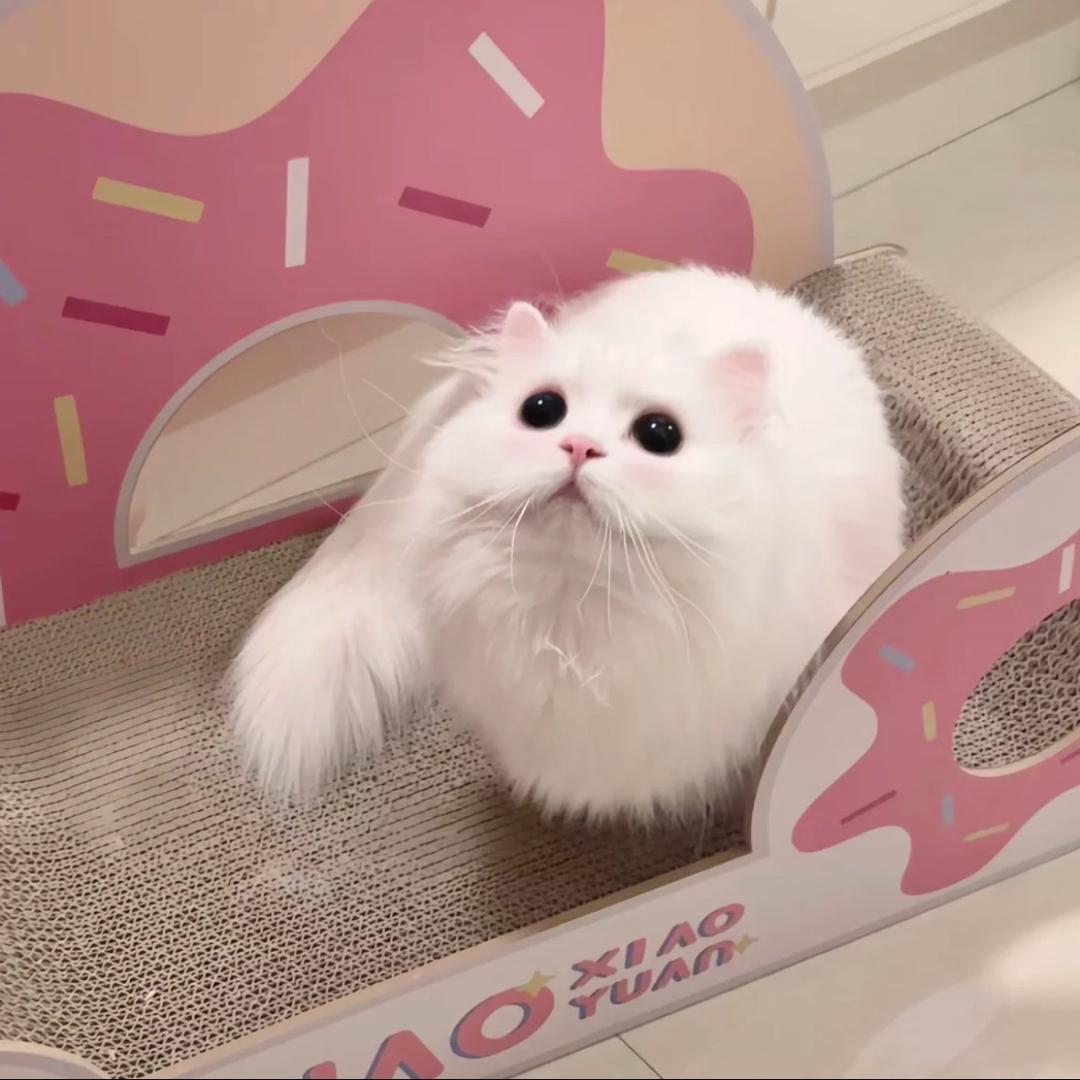 收纳箱
