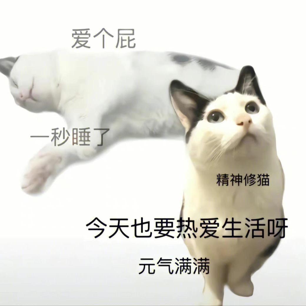 萌萌站起来