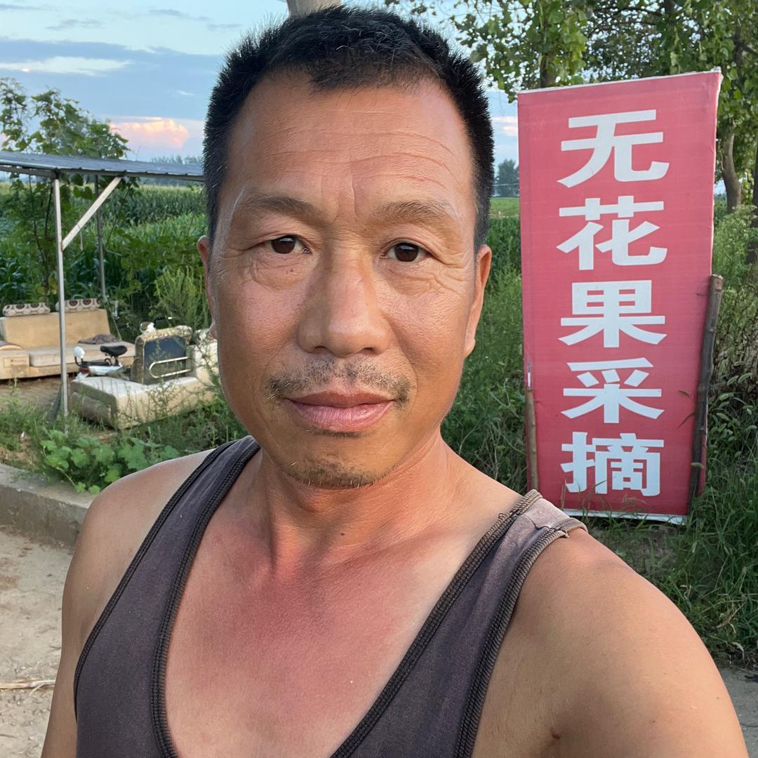 白向丽