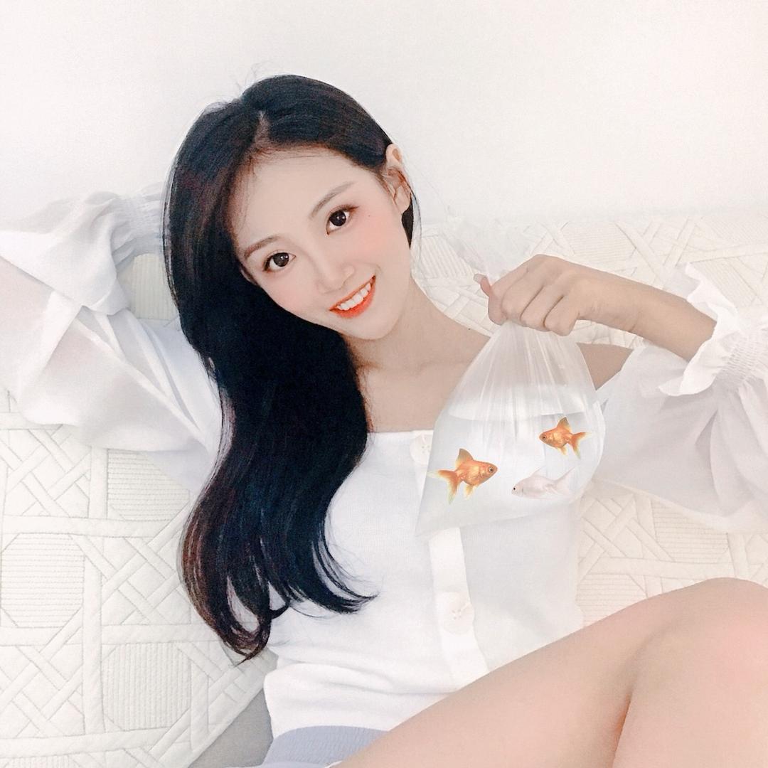钉钉👀