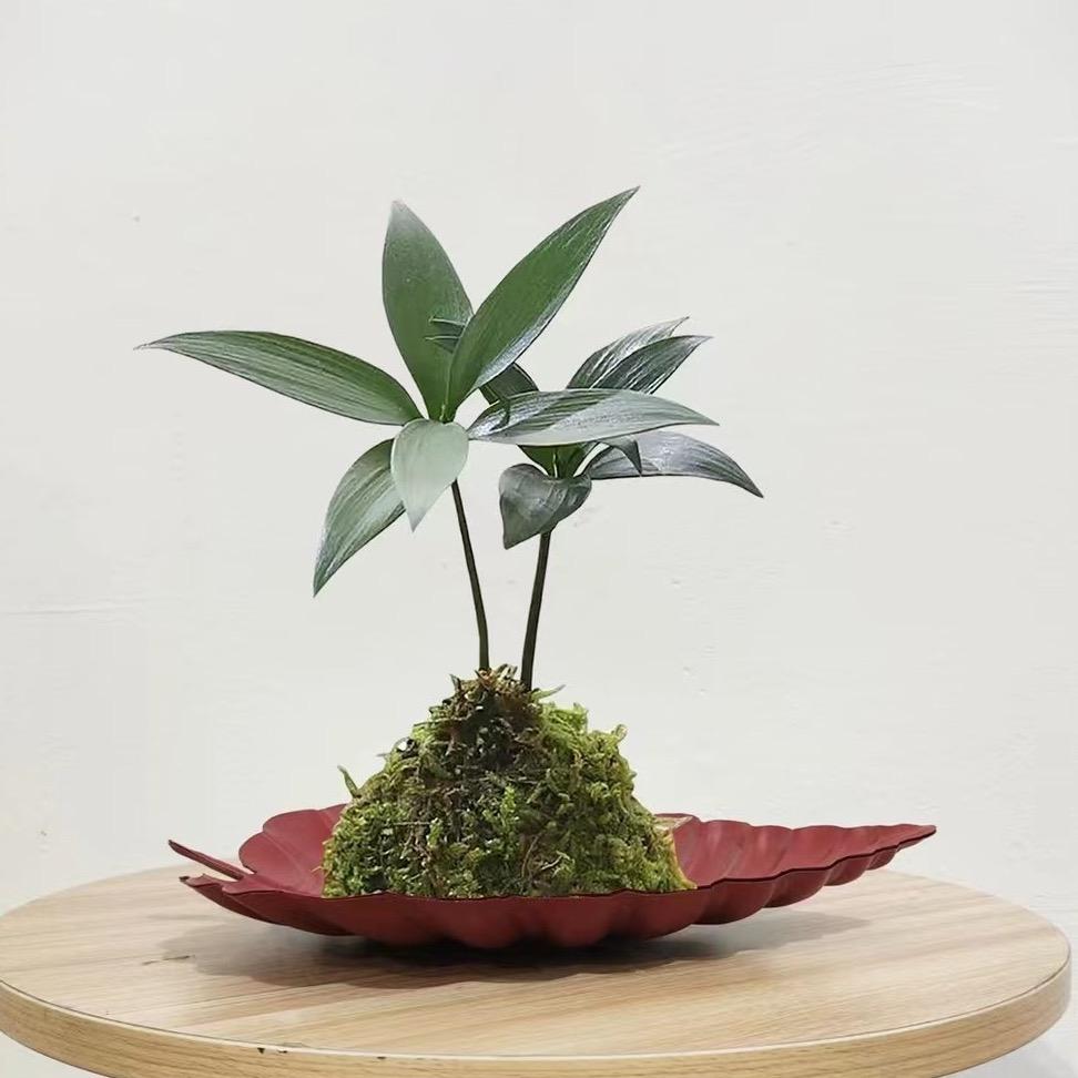 花时生活馆