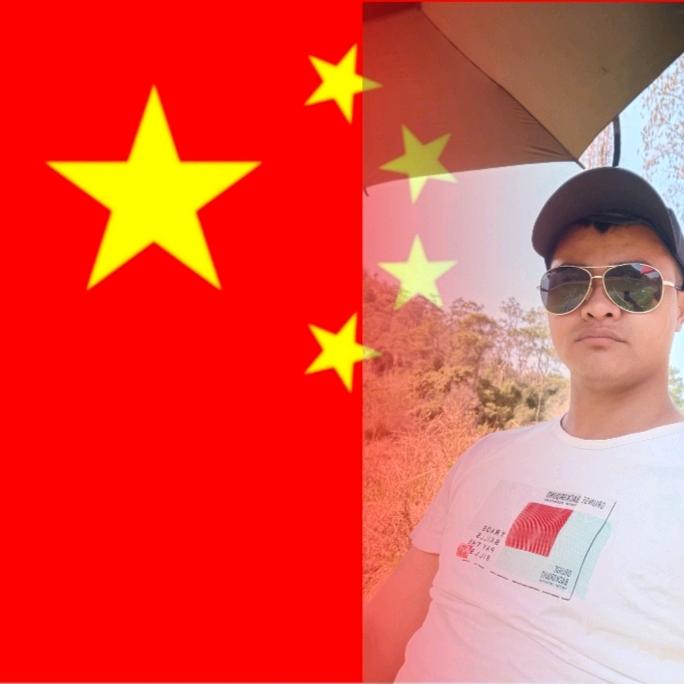 龙
