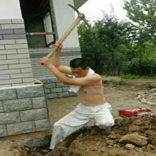 白鹿闲人
