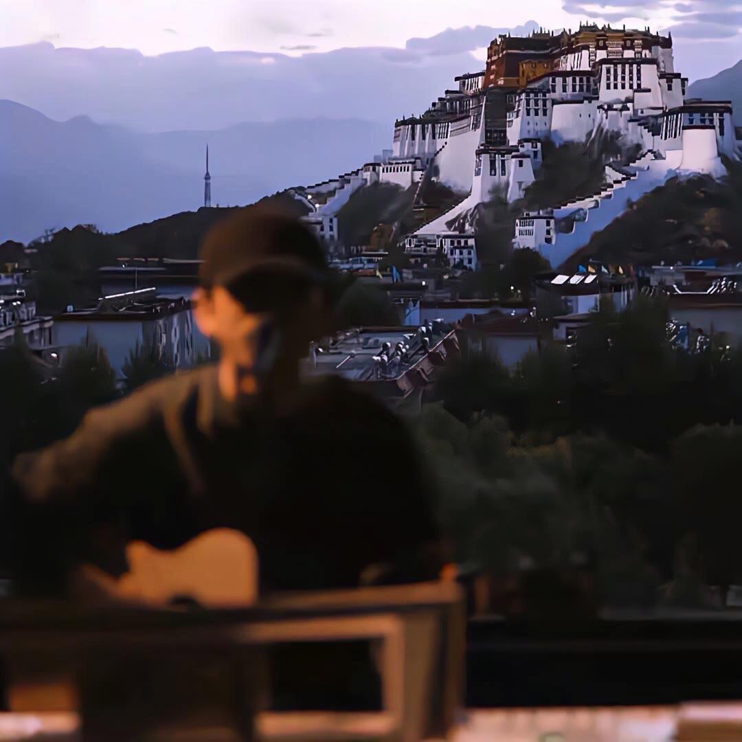 不会拍照的七仔📷🍁