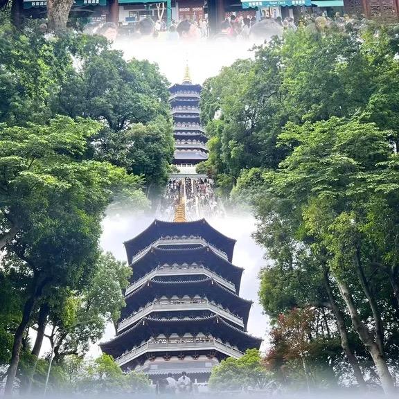 莲心佛语