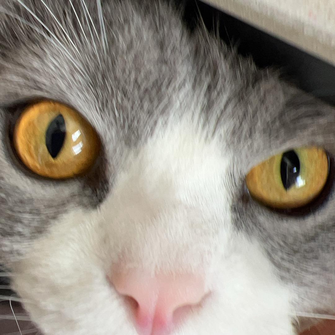 一只波(过暑假版)