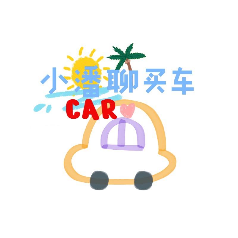 小潘聊买车