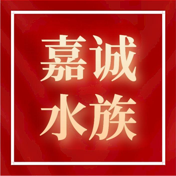 嘉诚鱼缸工厂