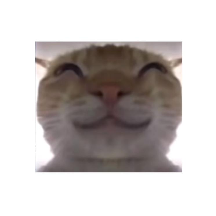 陈怀安（三角洲行动）