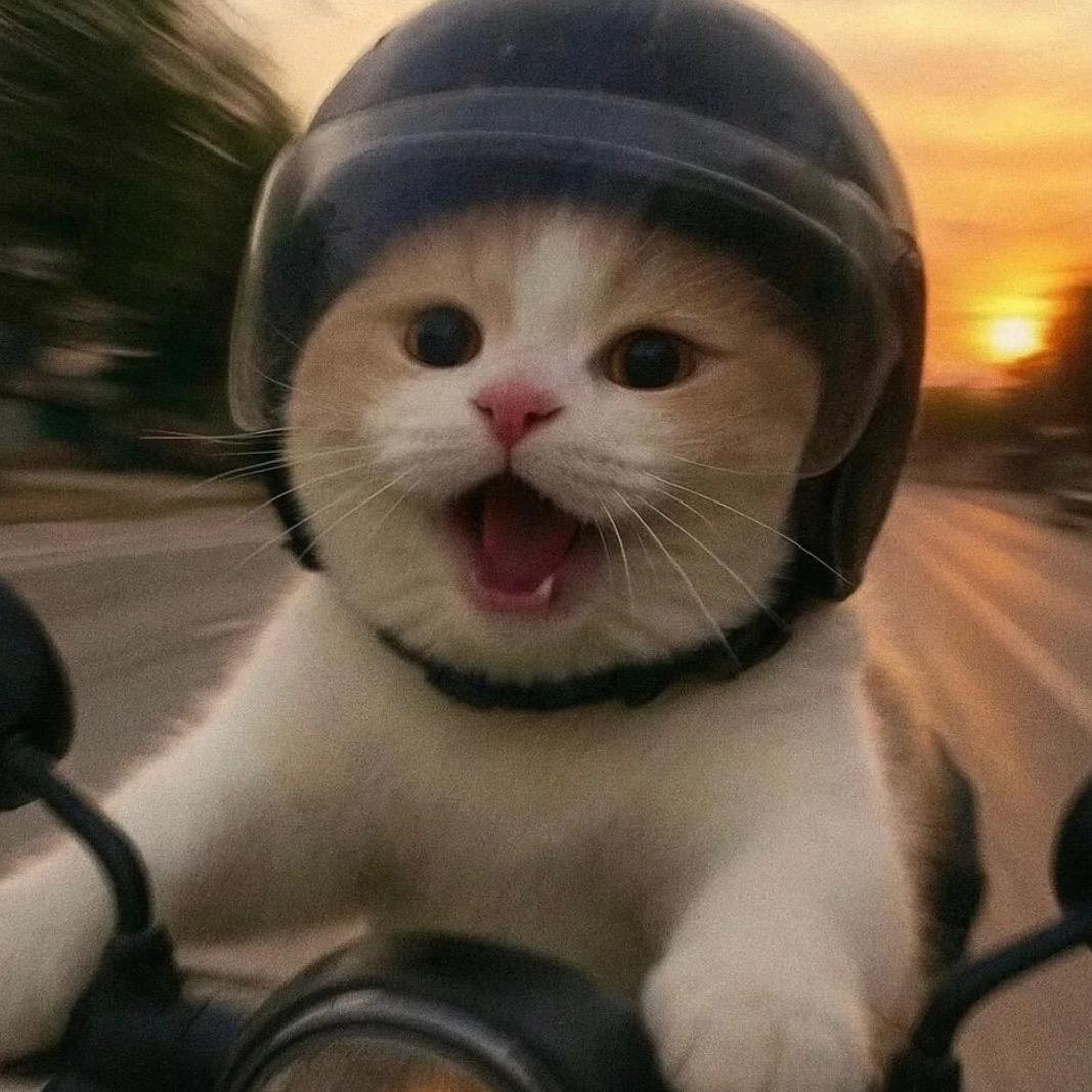 七七（家庭版美甲）