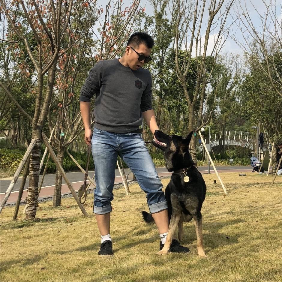 滔哥爱遛狗