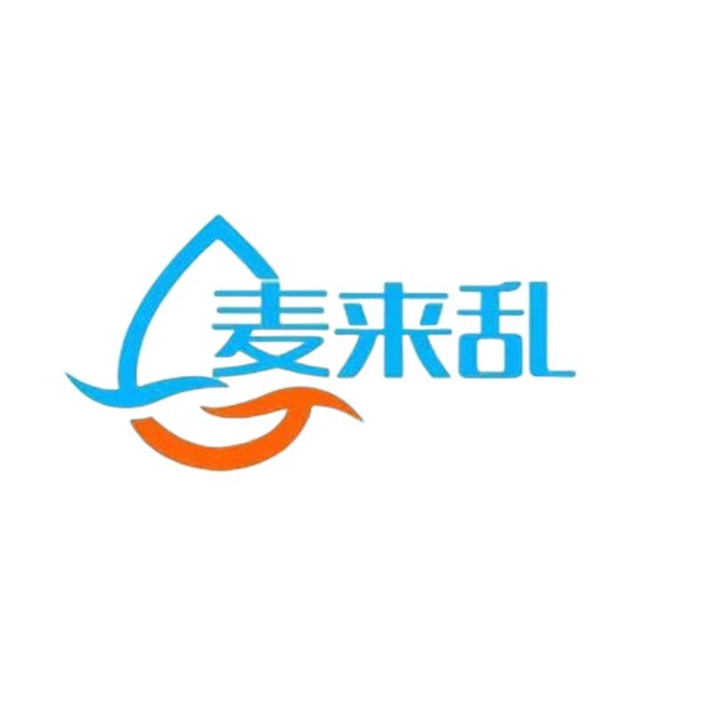 麦来乱摩托车装备旗舰店
