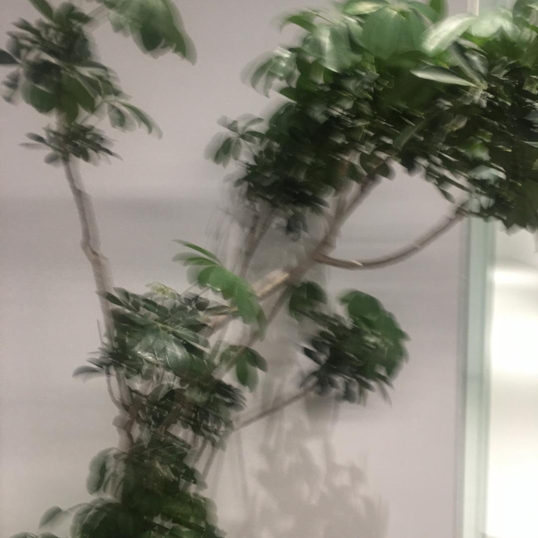 蒂孩儿(滇缅大道店)sfdsg49开播号