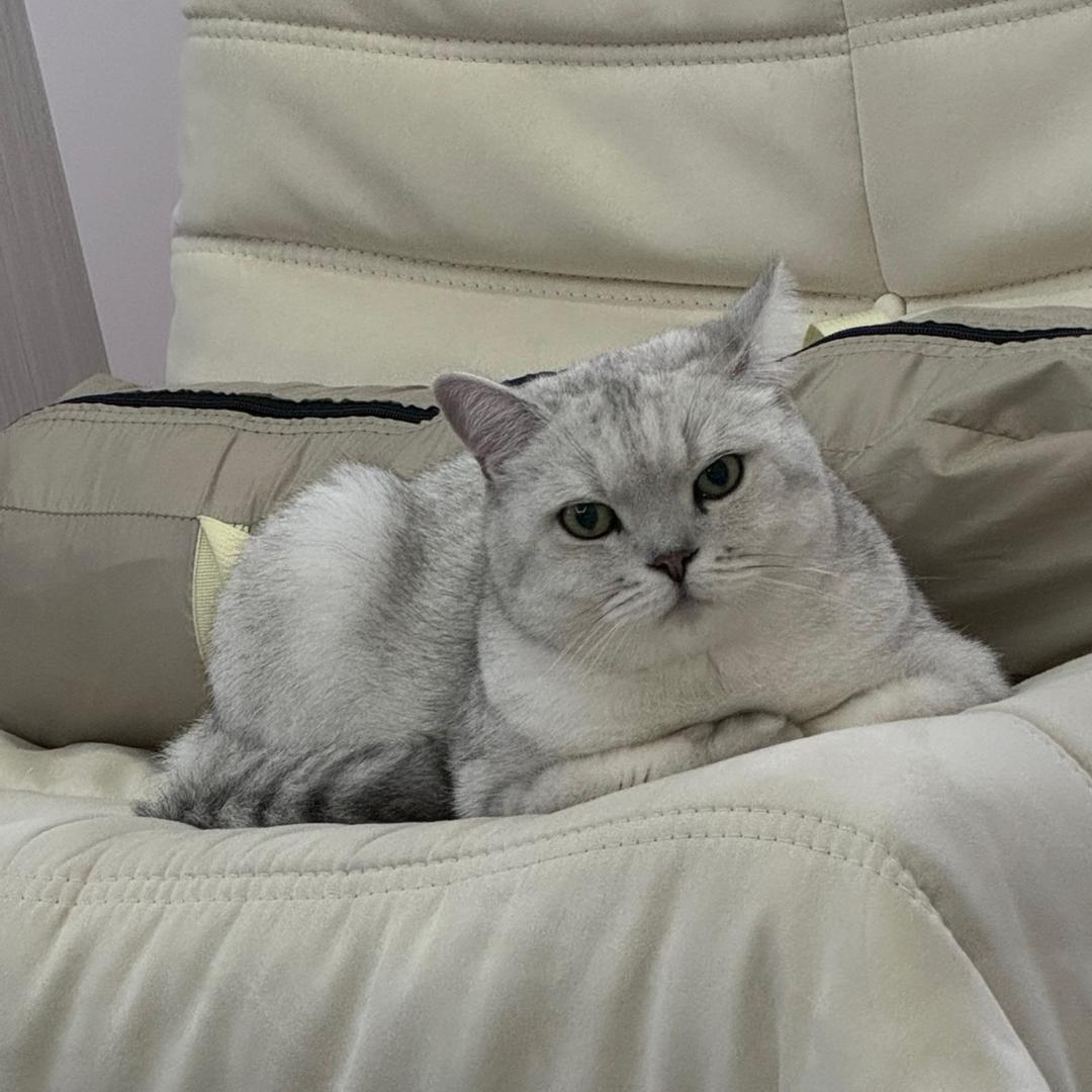 赚钱养木木
