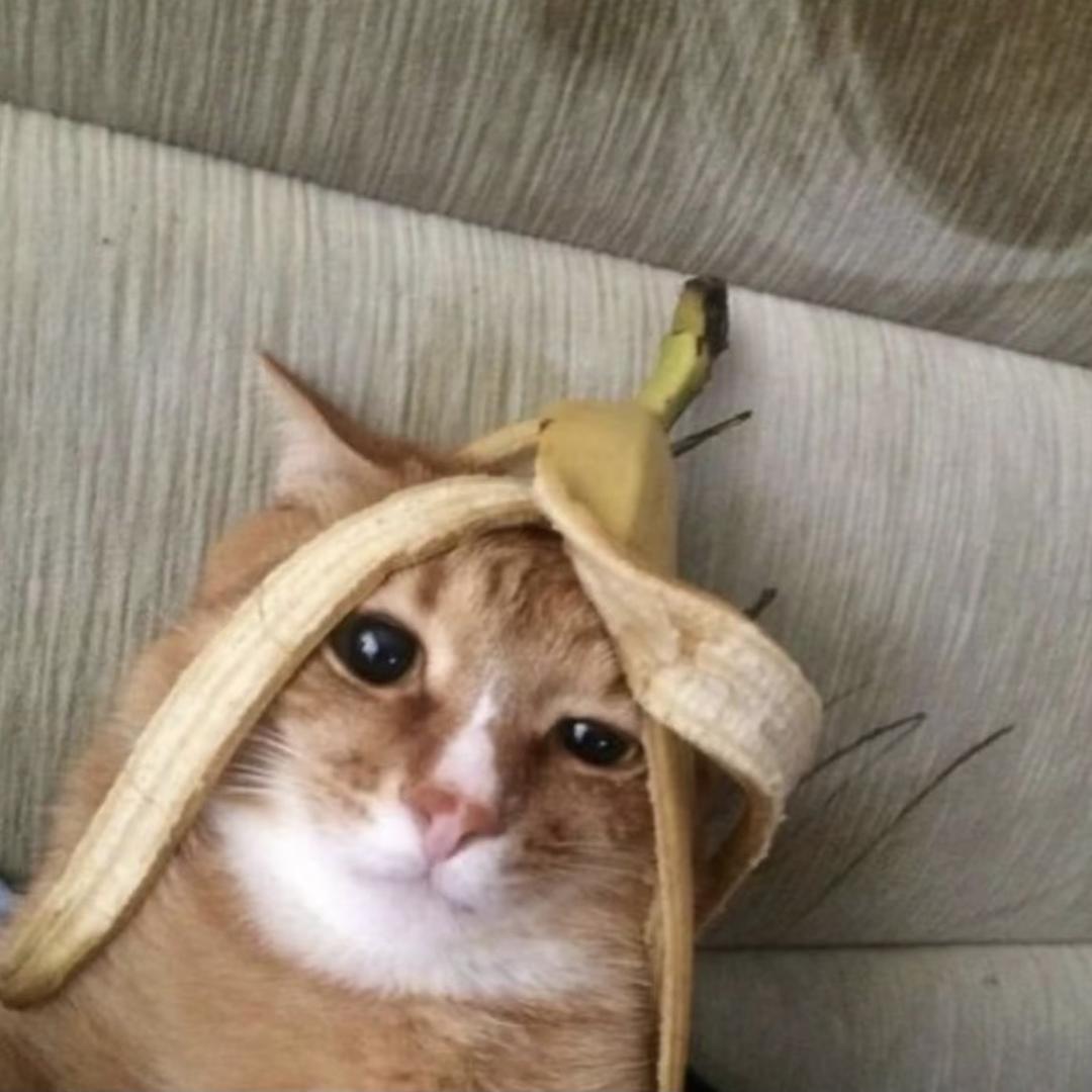 仪征新工农苏宁易购