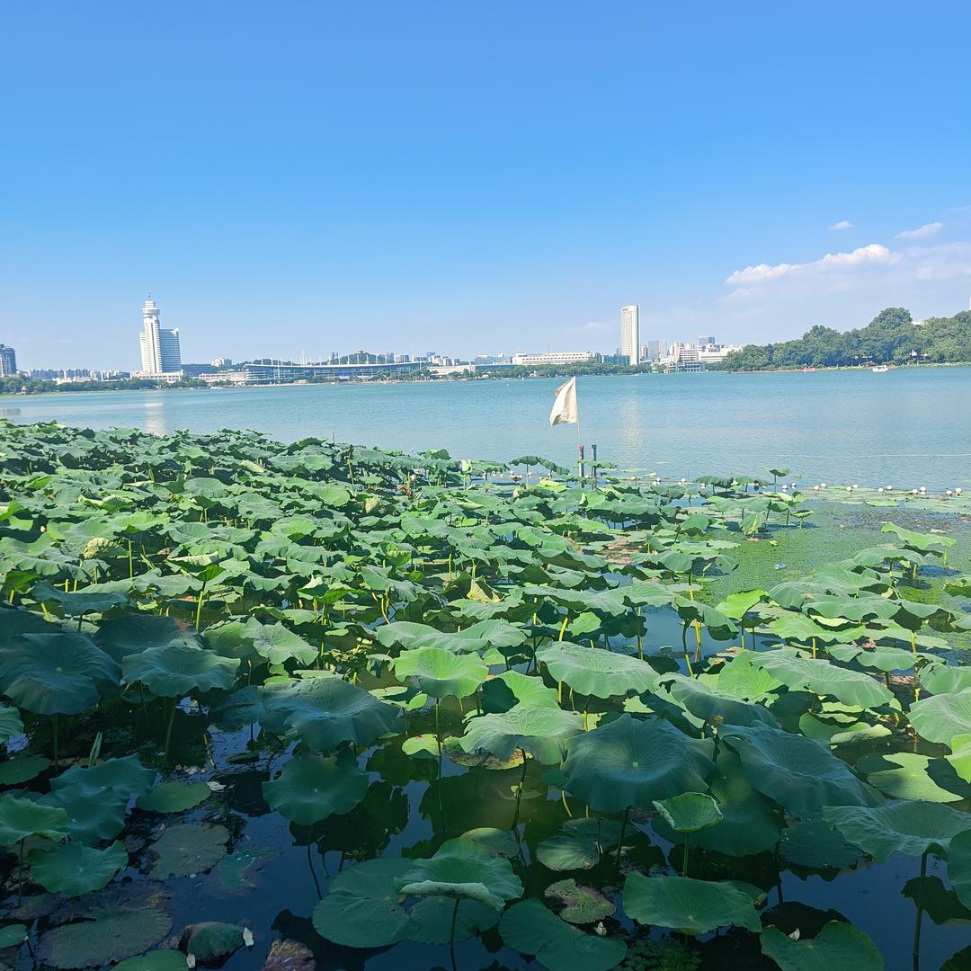 大悦城樊文花