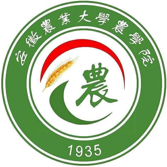 农苑青年