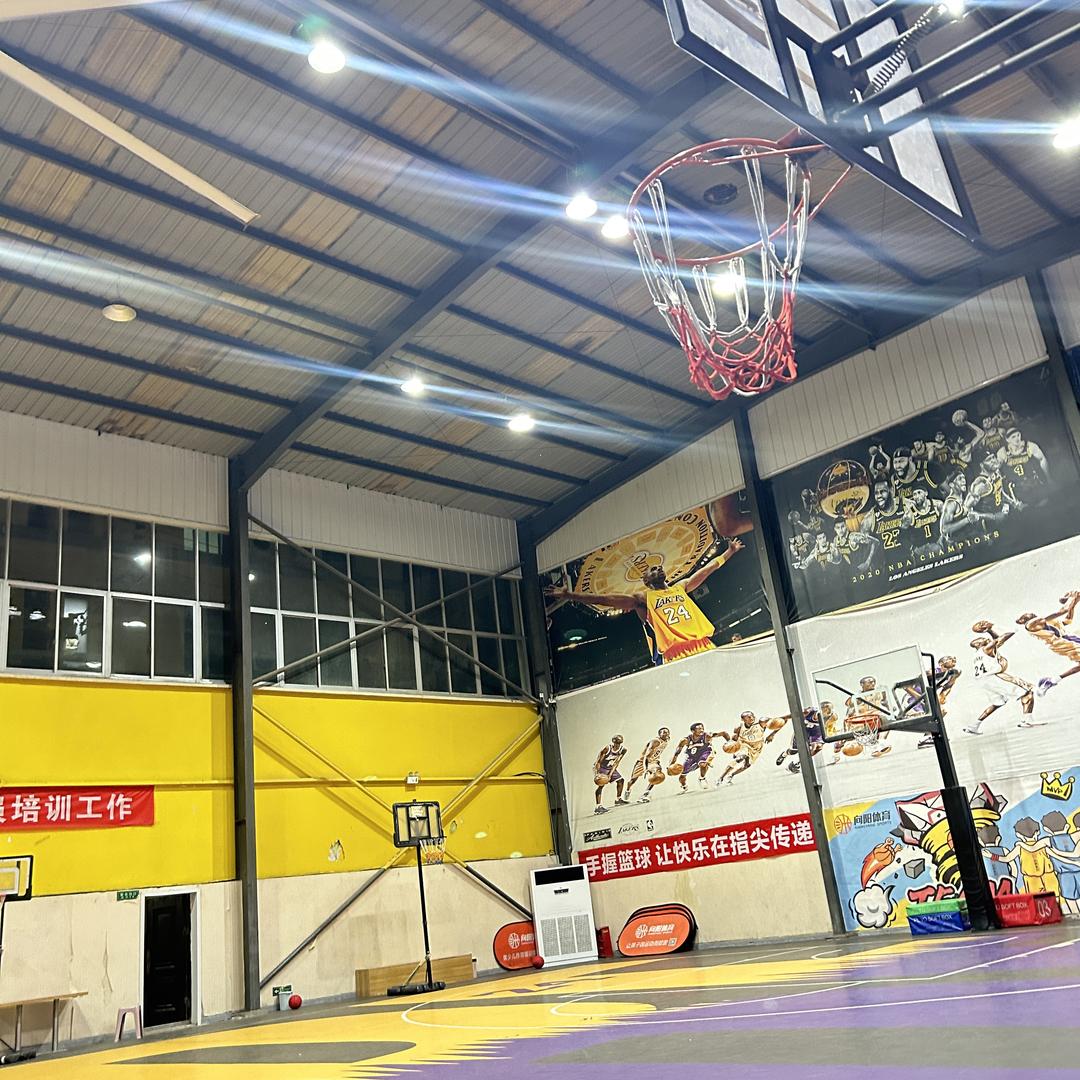 向阳体育    81运动