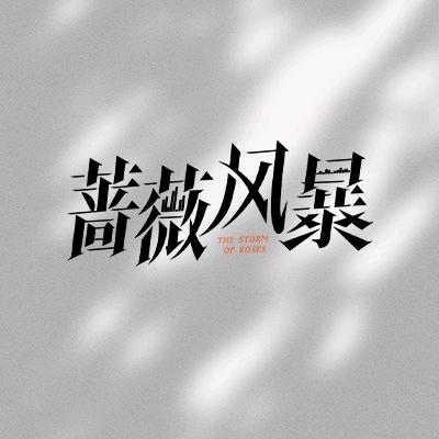 电视剧蔷薇风暴