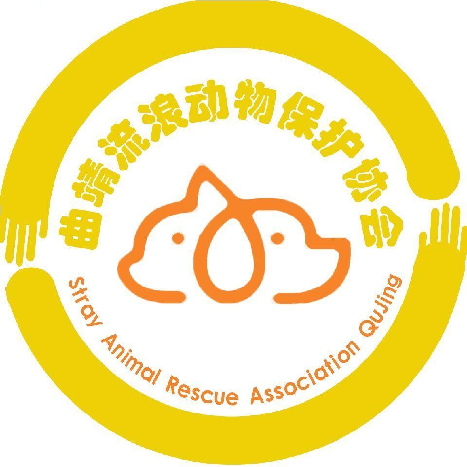 曲靖市麒麟区流浪动物保护协会