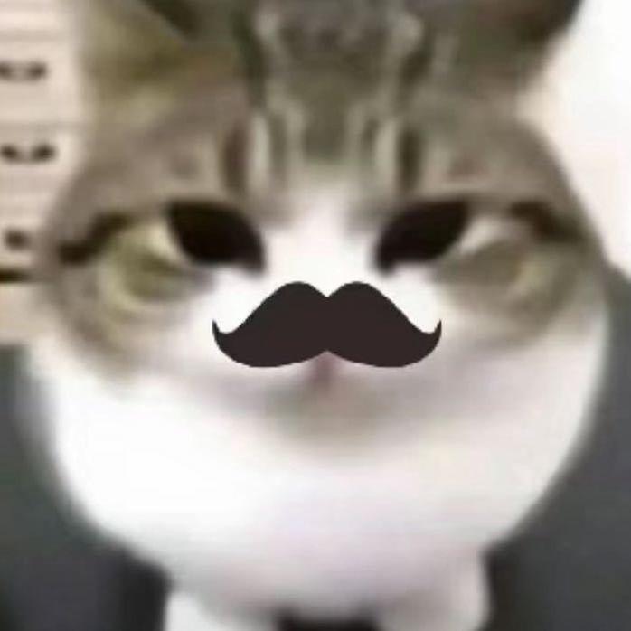 霖猫科技