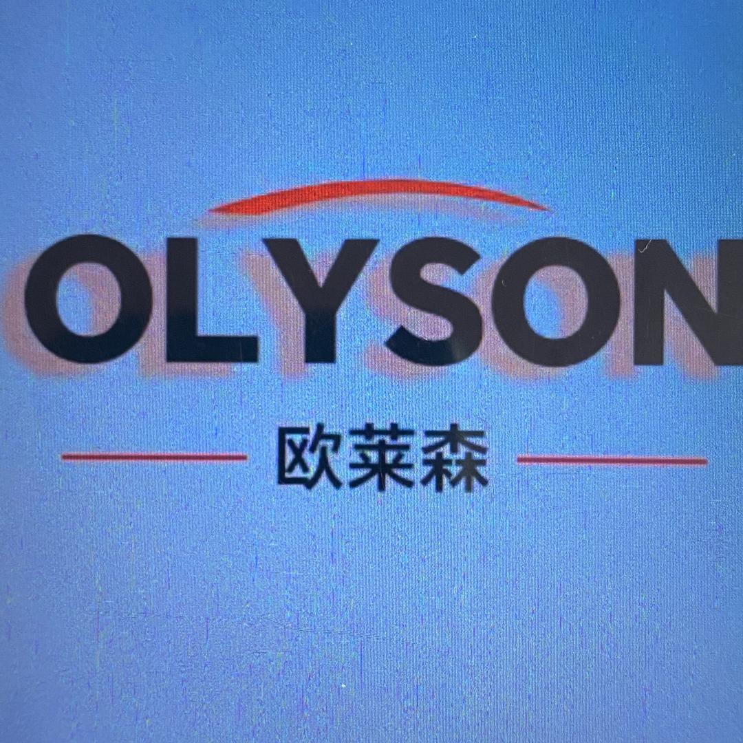 欧莱森智能锁丽姐