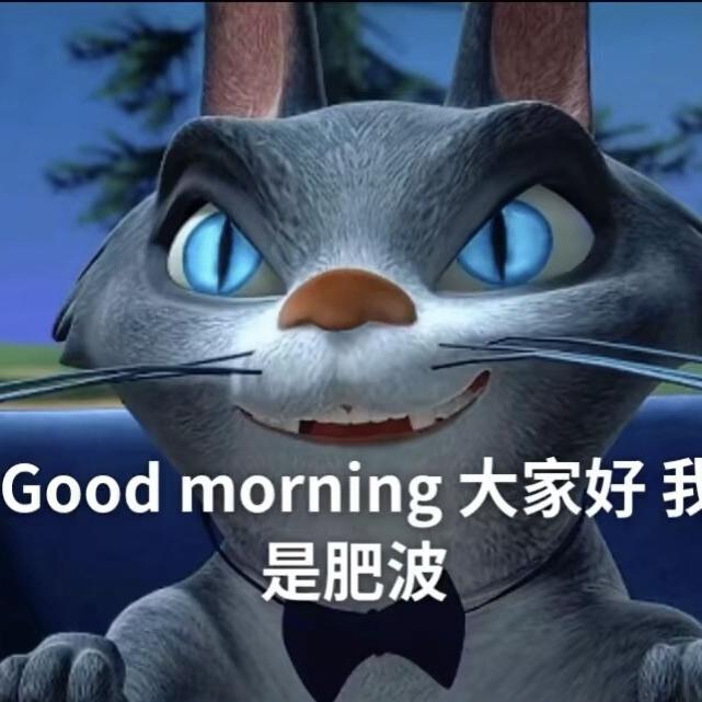 肥波不是狗