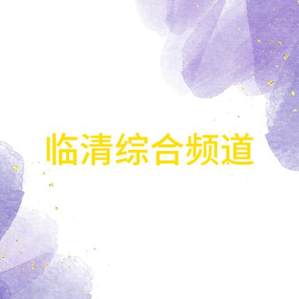 临清综合频道