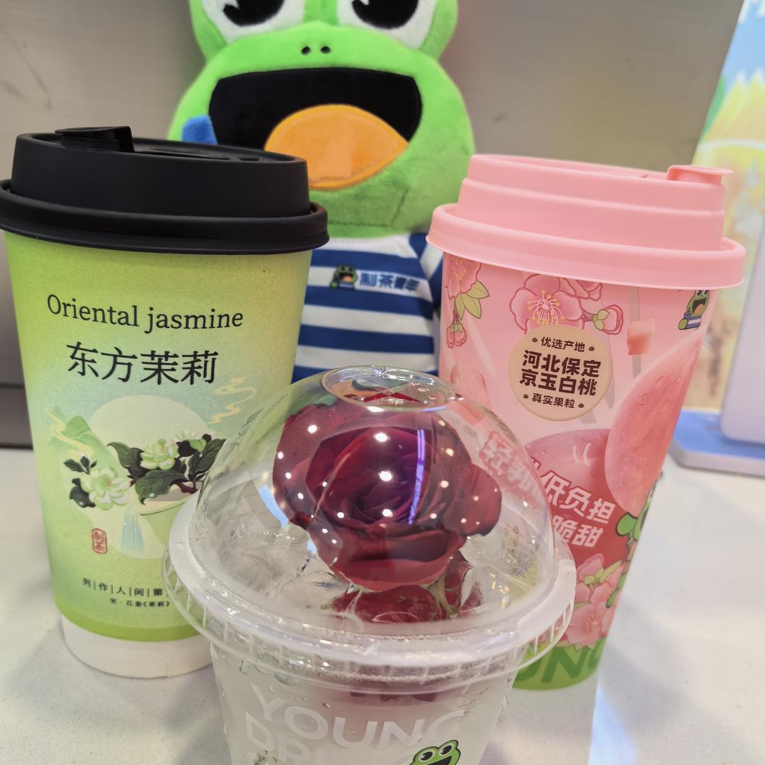 制茶青年—小雅