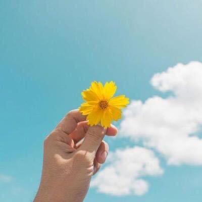 静沐暖阳🌹🌹