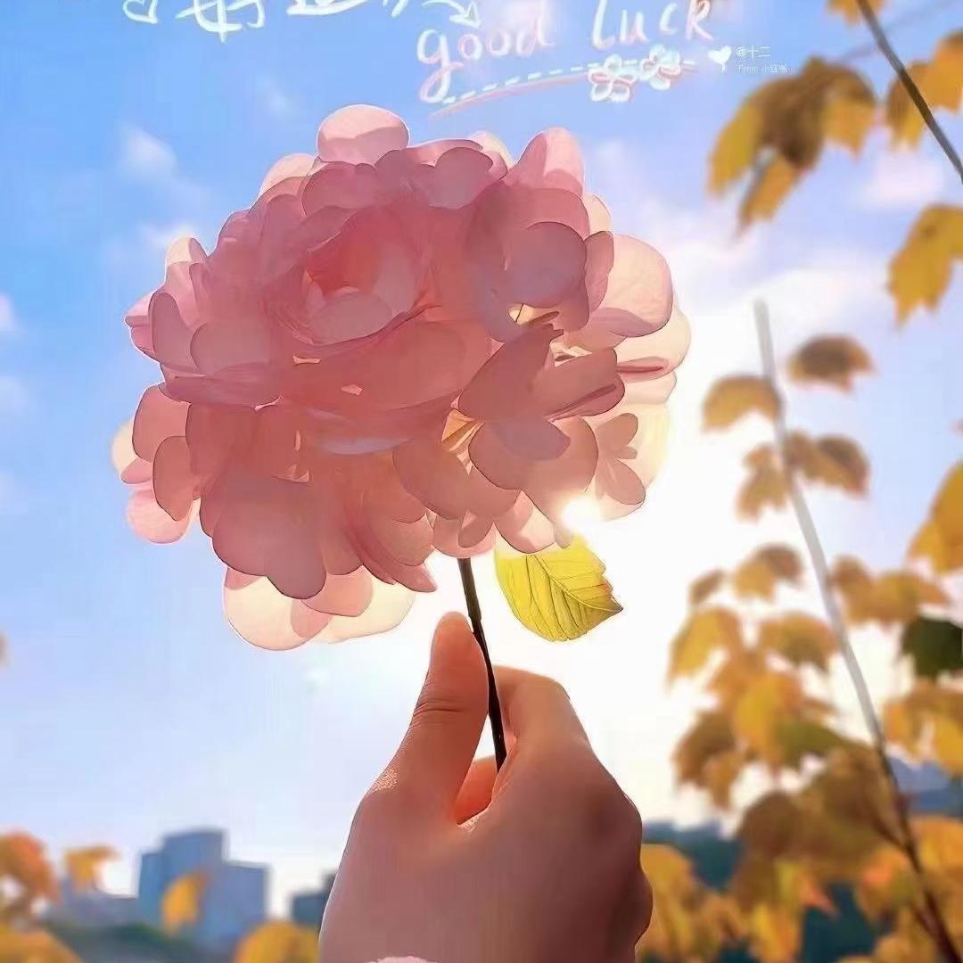 就要去推拿江宸天街