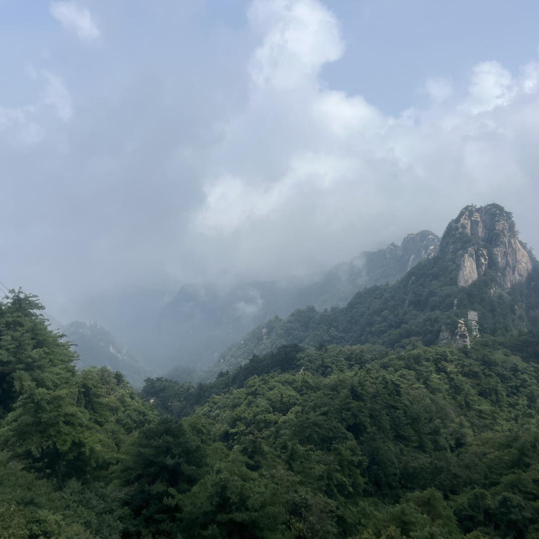 静静呀