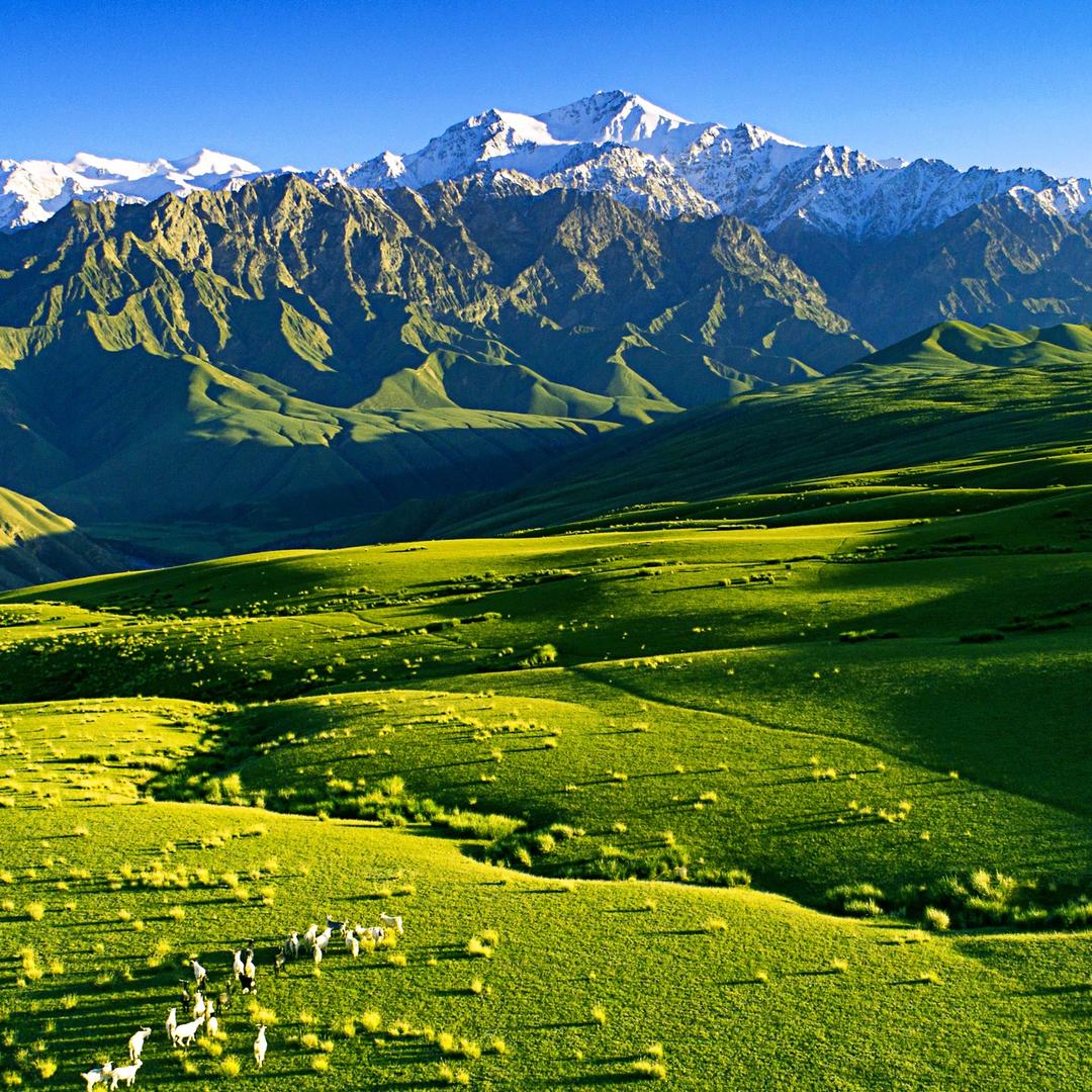 和田的金玉良缘