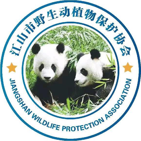 江山野保