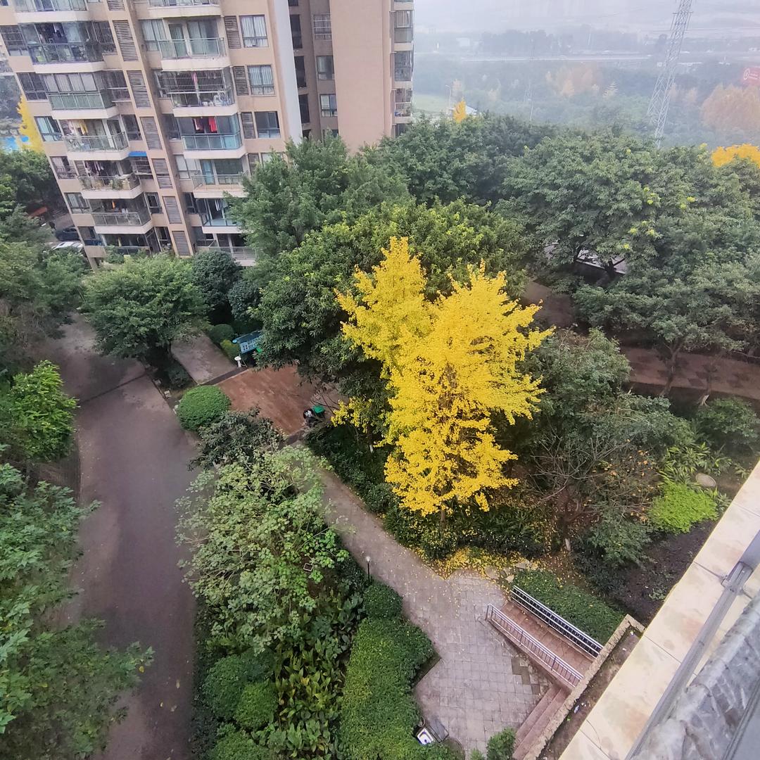 厨房管家零零柒