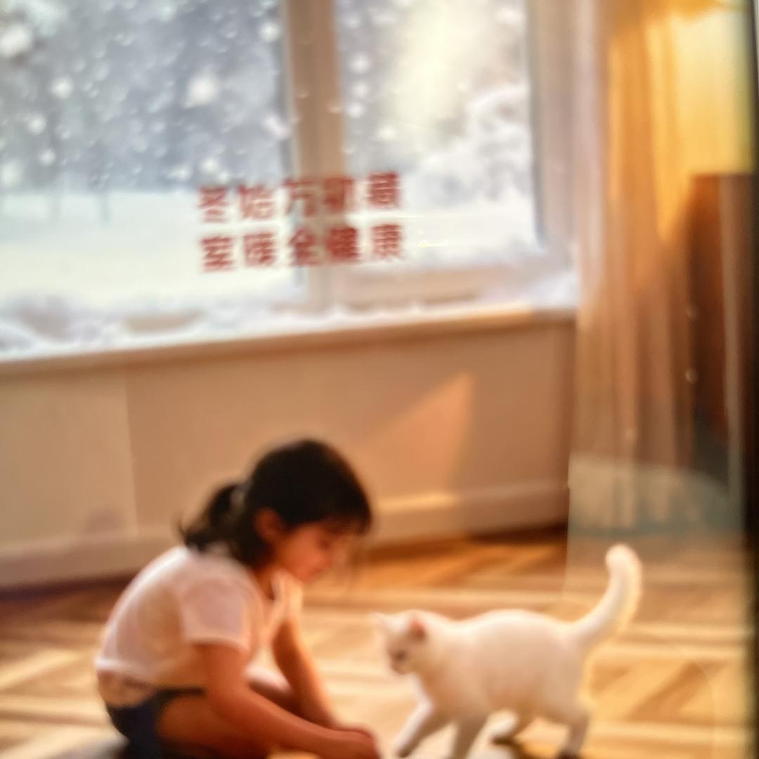 芜湖世友地板彪哥