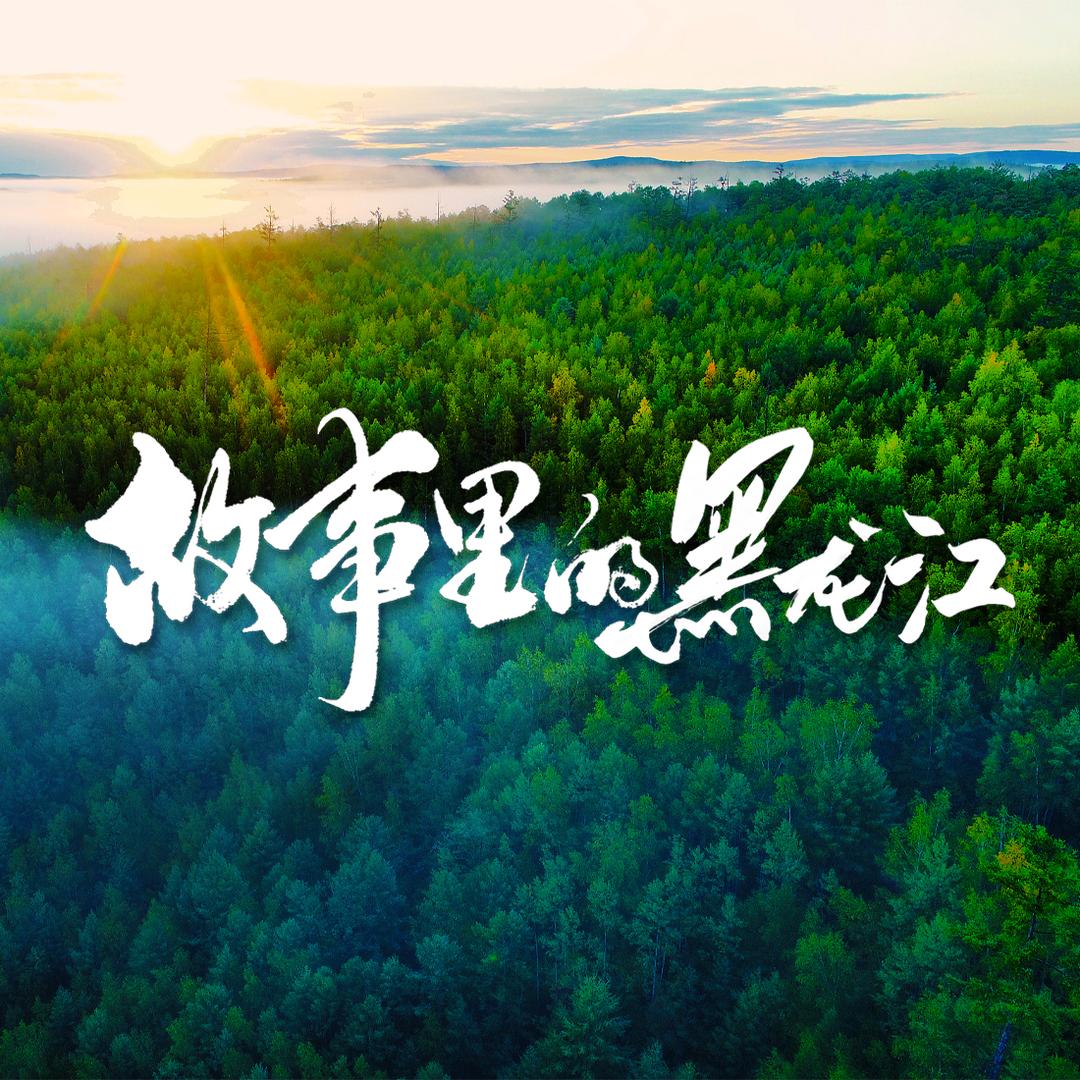 故事里的黑龙江