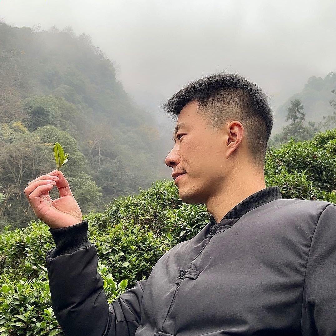 合肥齐云村茶行｜茗哥